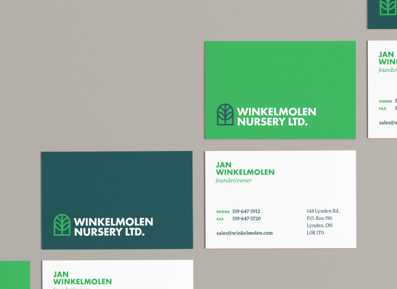 Winkelmolen Nursery